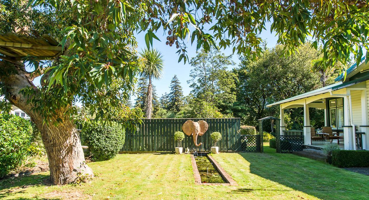 Bed and Breakfast Gumnut House. Whanganui Exteriér fotografie